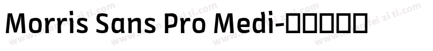 Morris Sans Pro Medi字体转换